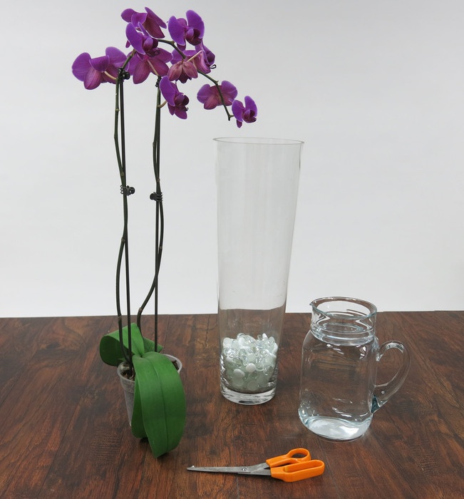 DIY Orchid Inspiration